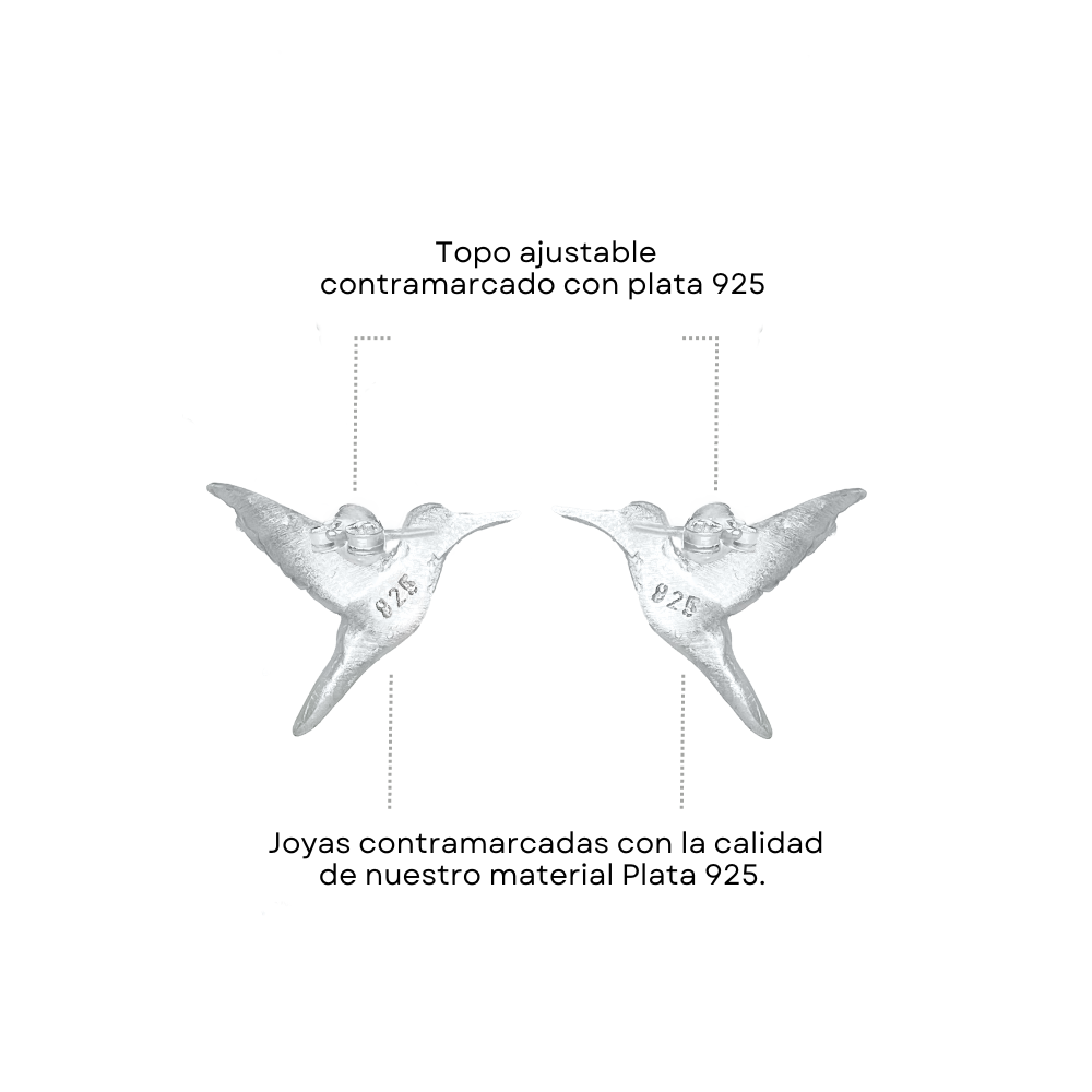 Arete de colibri en vista posterior